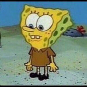 Meet your Posher, Rose